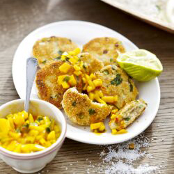 Thaise viskoekjes